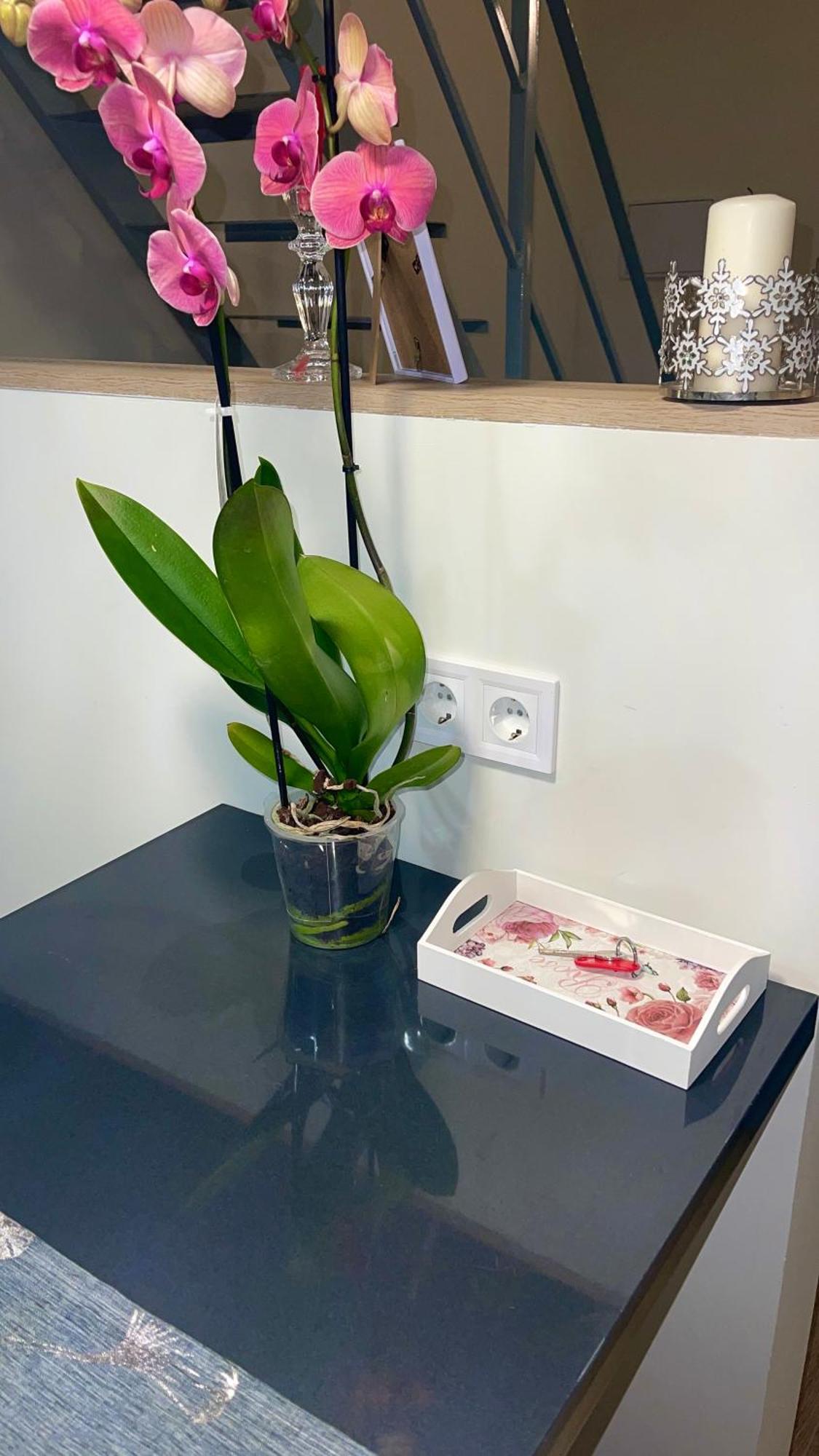 Madrid Centro II Apartman Kültér fotó